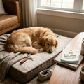 Calm Your Anxious Dog in Just a Week